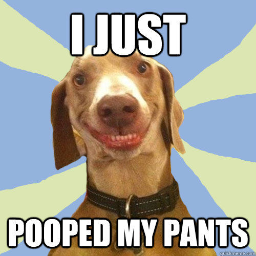 i just  pooped my pants  Disgusting Doggy