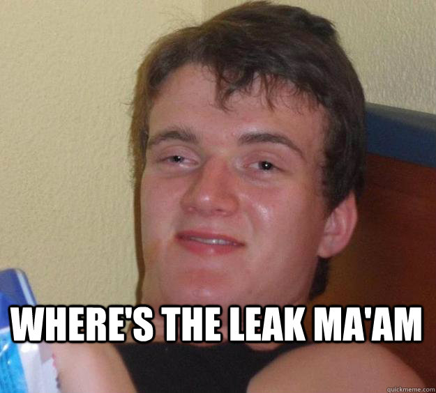 Where's the leak Ma'am  - Where's the leak Ma'am   10 Guy