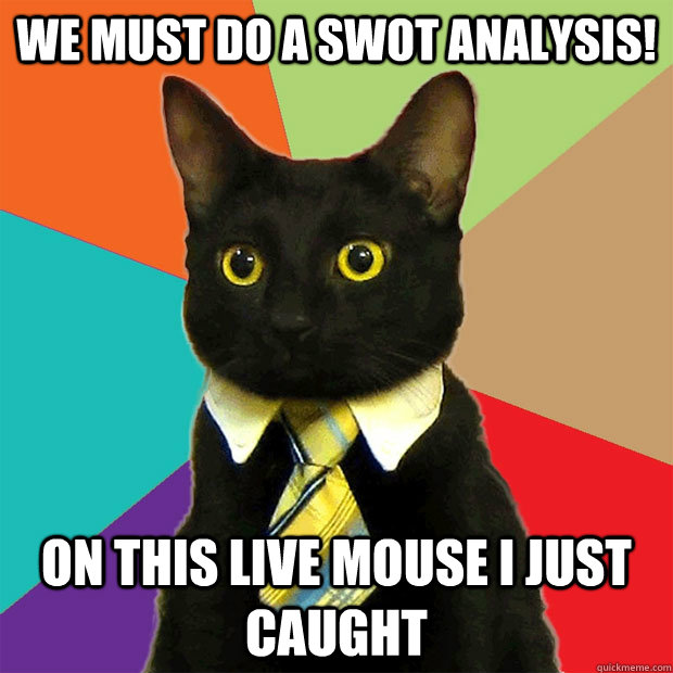 We must do a SWOT analysis! On this live mouse I just caught  Business Cat