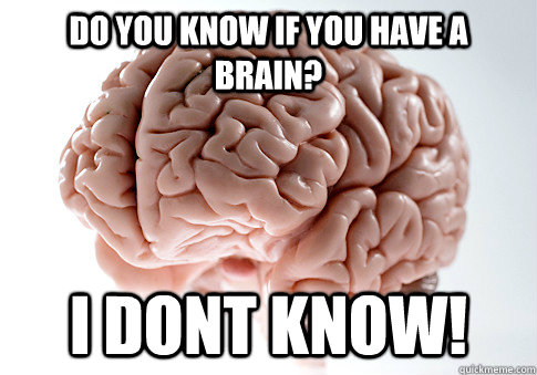 Do you know if you have a brain? I dont know!   Scumbag Brain