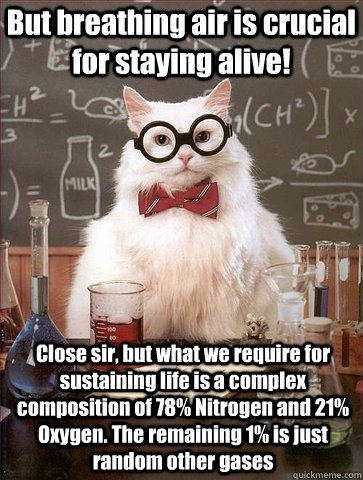 But breathing air is crucial for staying alive! Close sir, but what we require for sustaining life is a complex composition of 78% Nitrogen and 21% Oxygen. The remaining 1% is just random other gases  Chemistry Cat