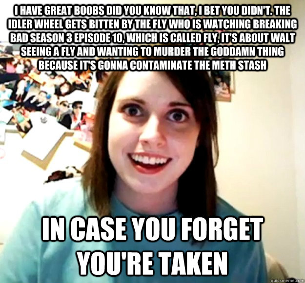 i have great boobs did you know that, i bet you didn't. The Idler wheel gets bitten by the fly who is watching breaking bad season 3 episode 10, which is called Fly, it's about walt seeing a fly and wanting to murder the goddamn thing because it's gonna c - i have great boobs did you know that, i bet you didn't. The Idler wheel gets bitten by the fly who is watching breaking bad season 3 episode 10, which is called Fly, it's about walt seeing a fly and wanting to murder the goddamn thing because it's gonna c  Overly Attached Girlfriend