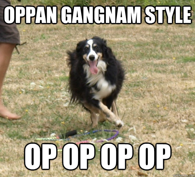 Oppan Gangnam Style Op op op op - Oppan Gangnam Style Op op op op  Misc