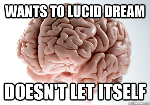 WANTS TO LUCID DREAM DOESN'T LET ITSELF  Scumbag Brain