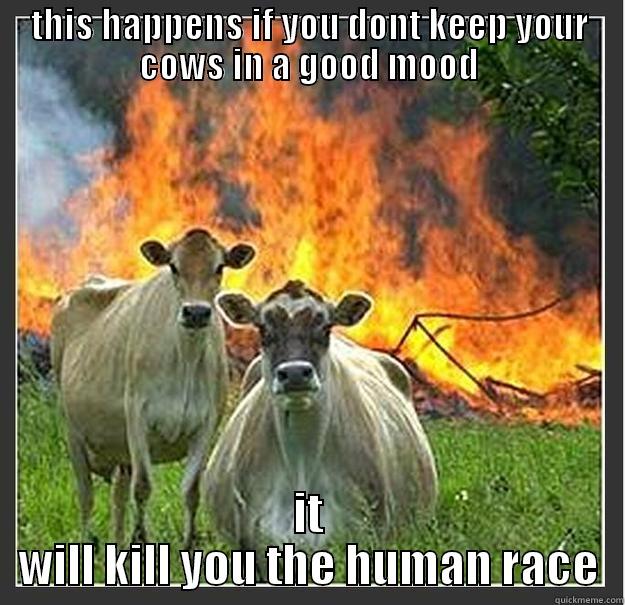 THIS HAPPENS IF YOU DONT KEEP YOUR COWS IN A GOOD MOOD IT WILL KILL YOU THE HUMAN RACE Evil cows