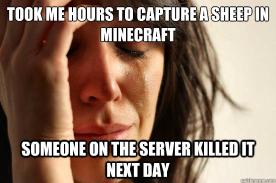 Took me hours to capture a sheep in minecraft Someone on the server killed it next day - Took me hours to capture a sheep in minecraft Someone on the server killed it next day  First World Problems