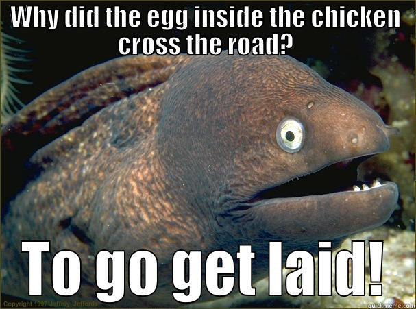 WHY DID THE EGG INSIDE THE CHICKEN CROSS THE ROAD? TO GO GET LAID! Bad Joke Eel