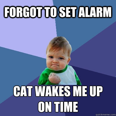 forgot to set alarm cat wakes me up 
on time  Success Kid