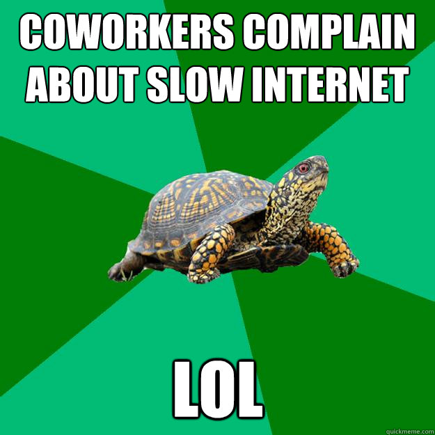 CoWorkers complain about slow internet lol  Torrenting Turtle