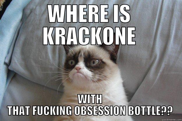 WHERE IS KRACKONE WITH THAT FUCKING OBSESSION BOTTLE?? Grumpy Cat