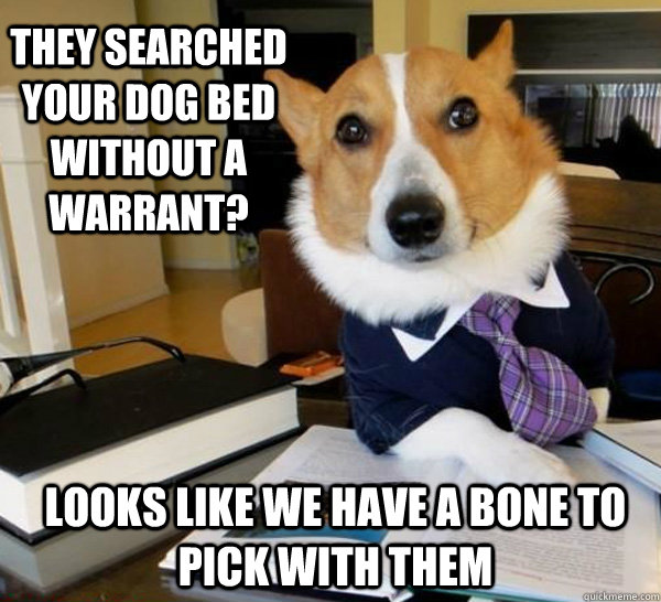 They searched your dog bed without a warrant? Looks like we have a bone to pick with them  Lawyer Dog