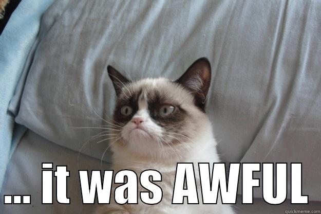  ... IT WAS AWFUL Grumpy Cat