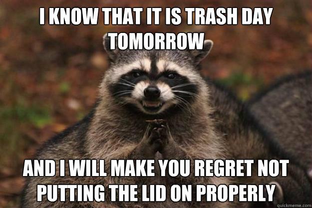 i know that it is trash day tomorrow and i will make you regret not putting the lid on properly  - i know that it is trash day tomorrow and i will make you regret not putting the lid on properly   Evil Plotting Raccoon