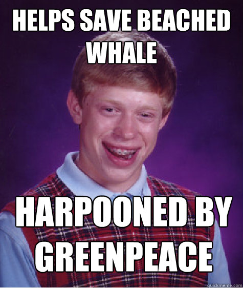 helps save beached whale harpooned by greenpeace - helps save beached whale harpooned by greenpeace  Bad Luck Brian