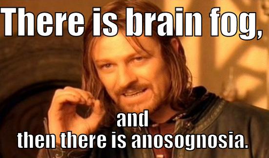 Noting the difference . . . - THERE IS BRAIN FOG,  AND THEN THERE IS ANOSOGNOSIA. Boromir