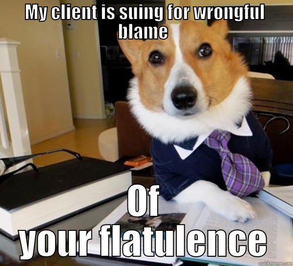 MY CLIENT IS SUING FOR WRONGFUL BLAME  OF YOUR FLATULENCE Lawyer Dog