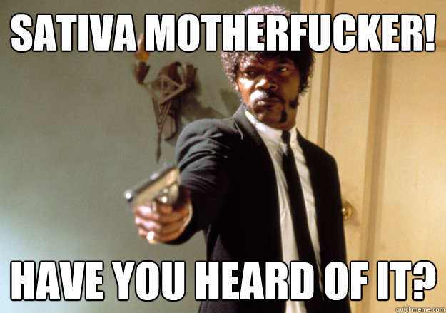 Sativa motherfucker! have you heard of it?  Samuel L Jackson