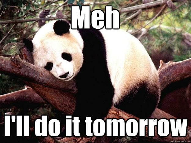 Meh I'll do it tomorrow  Procrastination Panda