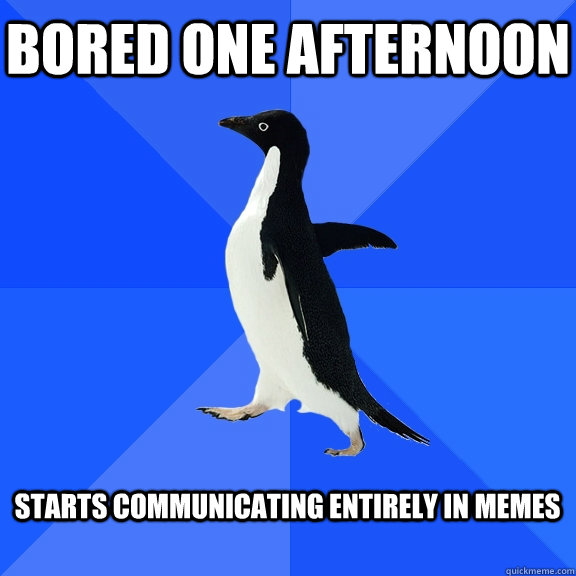 Bored one afternoon  Starts communicating entirely in memes   Socially Awkward Penguin