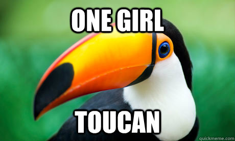 One Girl Toucan - One Girl Toucan  Toucan Do It