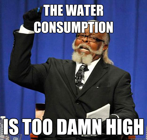 THE WATER CONSUMPTION Is too damn high  Jimmy McMillan