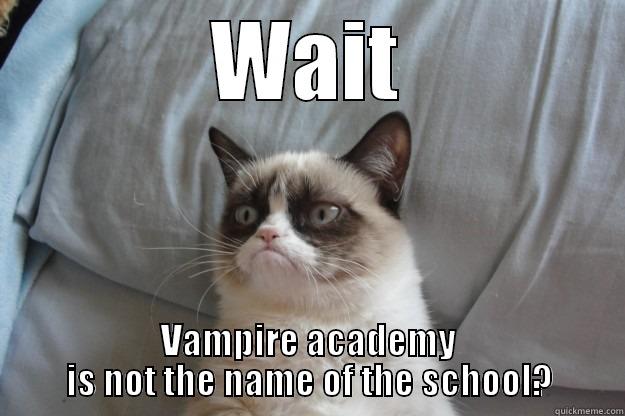 WAIT VAMPIRE ACADEMY IS NOT THE NAME OF THE SCHOOL? Grumpy Cat