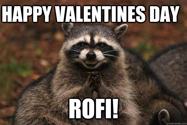 happy valentines day Rofi!  Evil Plotting Raccoon