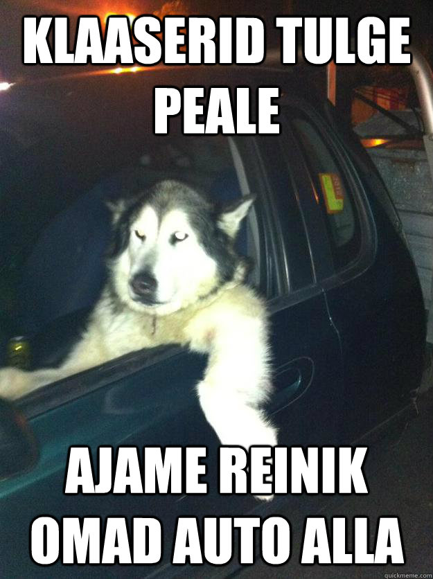 klaaserid tulge peale ajame reinik omad auto alla - klaaserid tulge peale ajame reinik omad auto alla  Mean Dog