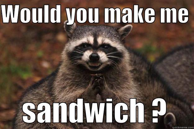 WOULD YOU MAKE ME  SANDWICH ? Evil Plotting Raccoon