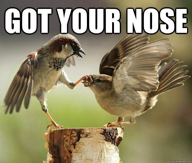 Got Your Nose   
