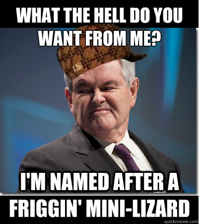 What the hell do you want from me? I'm named after a friggin' mini-lizard  Scumbag Gingrich