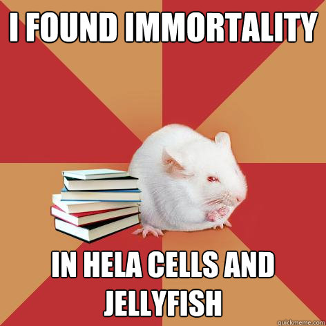 I found immortality in HeLA cells and jellyfish  Science Major Mouse