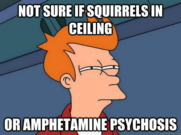 Not sure if squirrels in ceiling Or amphetamine psychosis  Futurama Fry