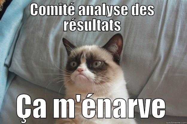 Just ask me - COMITÉ ANALYSE DES RÉSULTATS ÇA M'ÉNARVE Grumpy Cat