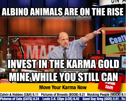 Albino animals are on the rise invest in the karma gold mine while you still can - Albino animals are on the rise invest in the karma gold mine while you still can  Mad Karma with Jim Cramer