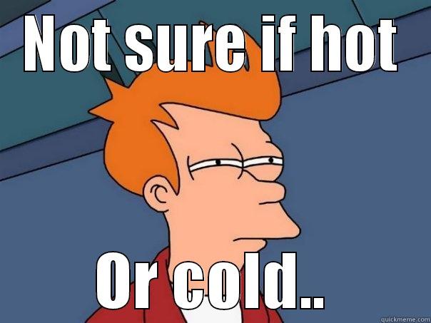 NOT SURE IF HOT OR COLD.. Futurama Fry