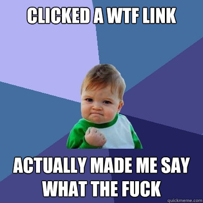 Clicked a WTF LINK Actually made me say What the Fuck  Success Kid