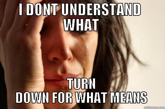 I DONT UNDERSTAND  WHAT TURN DOWN FOR WHAT MEANS First World Problems