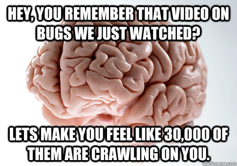 Hey, you remember that video on bugs we just watched? lets make you feel like 30,000 of them are crawling on you.  Scumbag Brain