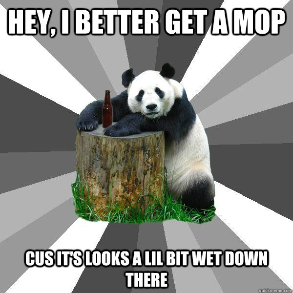 HEY, I BETTER GET A MOP CUS IT'S LOOKS A LIL BIT WET DOWN THERE  Pickup-Line Panda