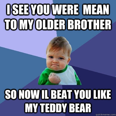 i see you were  mean to my older brother so now il beat you like my teddy bear  Success Kid