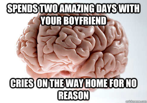 Spends two amazing days with your boyfriend Cries  on the way home for no reason  Scumbag Brain