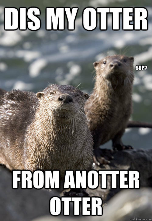 Dis my otter from anotter otter Sup? - Dis my otter from anotter otter Sup?  Anotter Otter