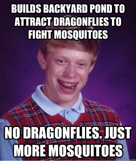 Builds backyard pond to attract dragonflies to fight mosquitoes No dragonflies. Just more mosquitoes  Bad Luck Brian