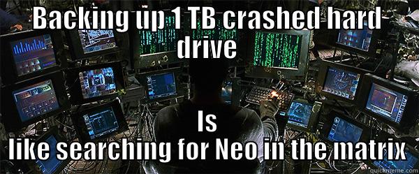 BACKING UP 1 TB CRASHED HARD DRIVE IS LIKE SEARCHING FOR NEO IN THE MATRIX Misc