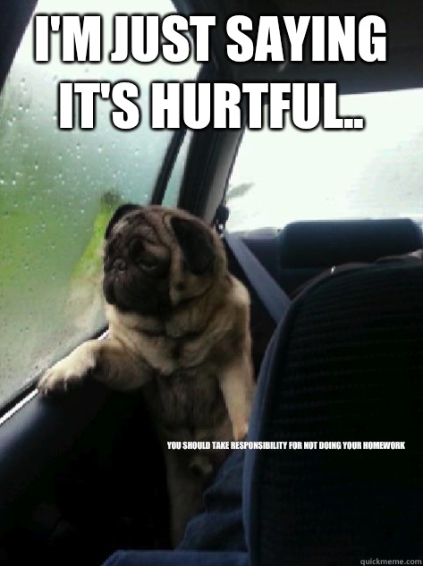 I'm just saying it's hurtful.. you should take responsibility for not doing your homework  Introspective Pug