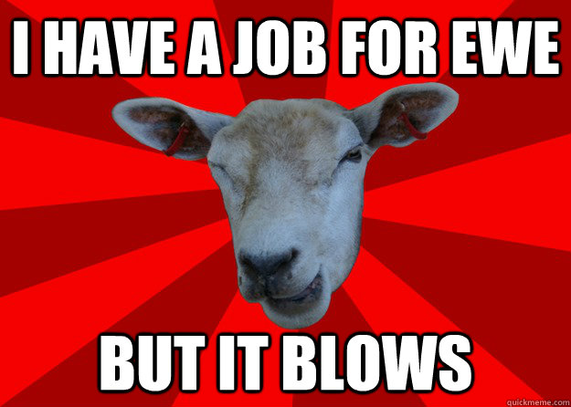 I have a job for ewe But it blows  Sexual Innuendo Sheep