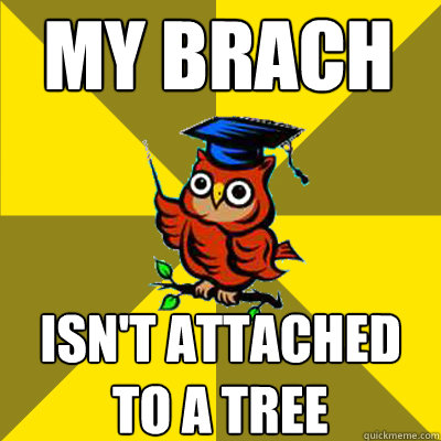 MY BRACH ISN'T ATTACHED TO A TREE  Observational Owl