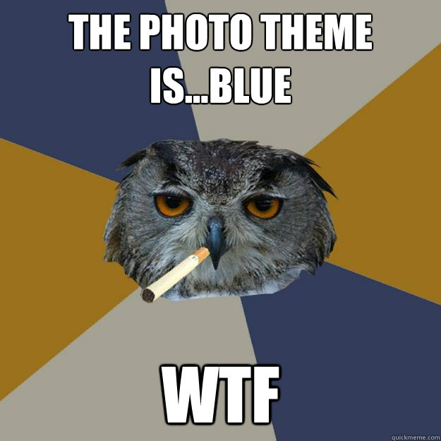 The photo theme is...Blue WTF - The photo theme is...Blue WTF  Art Student Owl