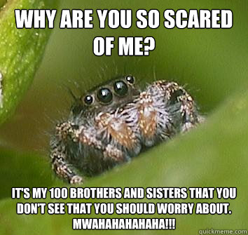 Why are you so scared of me? It's my 100 brothers and sisters that you DON't see that you should worry about. 
MWAHAHAHAHAHA!!!  Misunderstood Spider